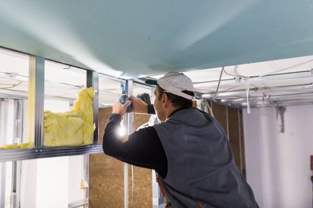 Best Insulation Maintenance and Repair in Rocky Ford, CO